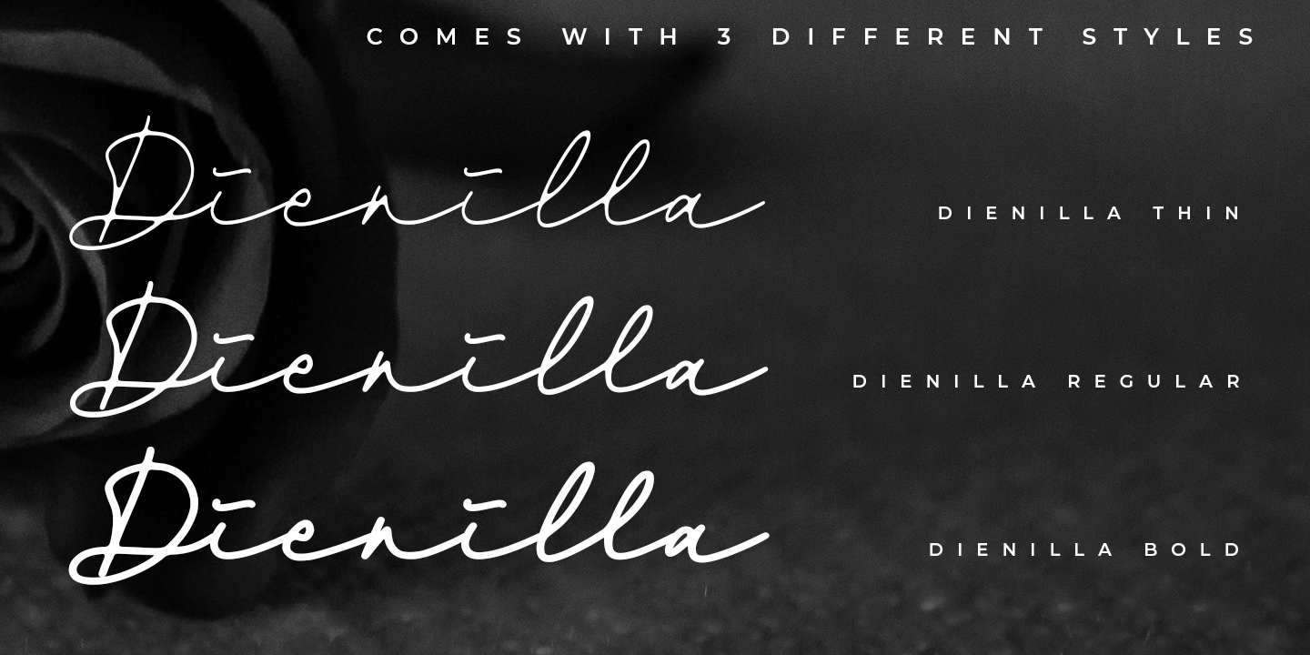 Beispiel einer Dienilla Regular-Schriftart